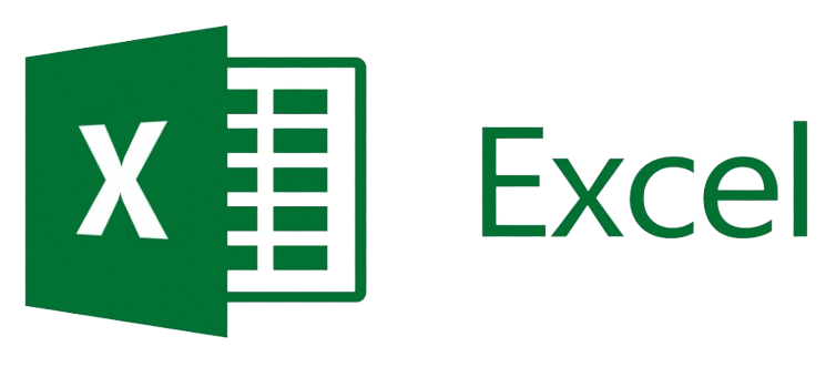 mi451m06c-microsoft-excel-2013-logo-microsoft-excel-2013-logo--removebg-preview (1)