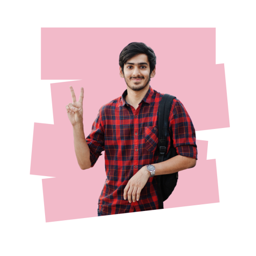 programming in python course in india